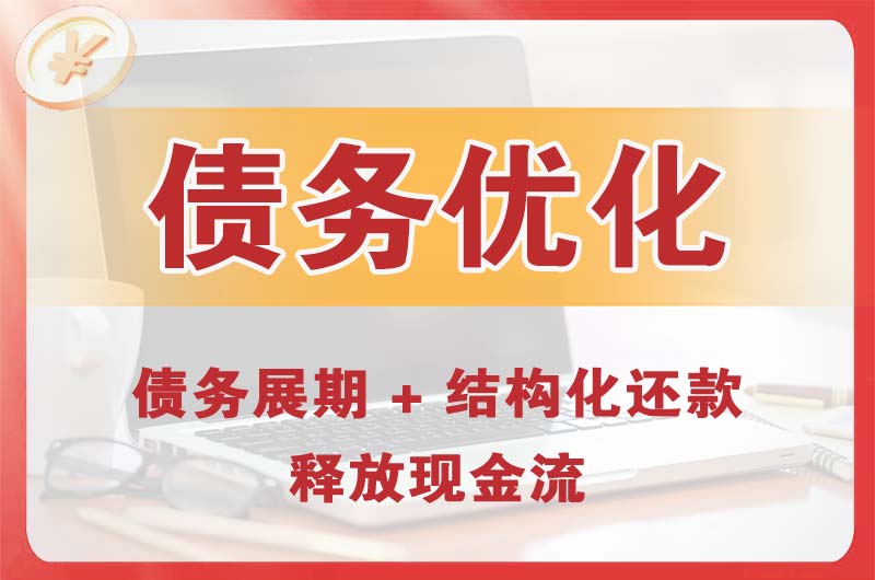 顺平债务优化