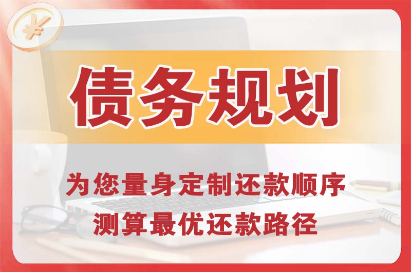 顺平债务规划